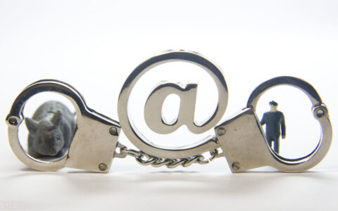 隐瞒犯罪所得罪是多少及非法隐瞒犯罪所得量刑标准