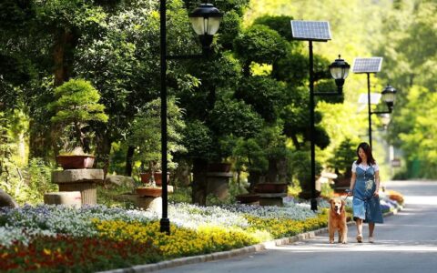 旅游法全文及解读及中华人民共和国旅游法的内容