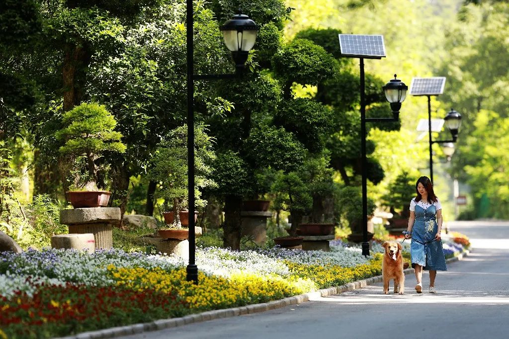 普法小课堂 | 《中华人民共和国旅游法》解读