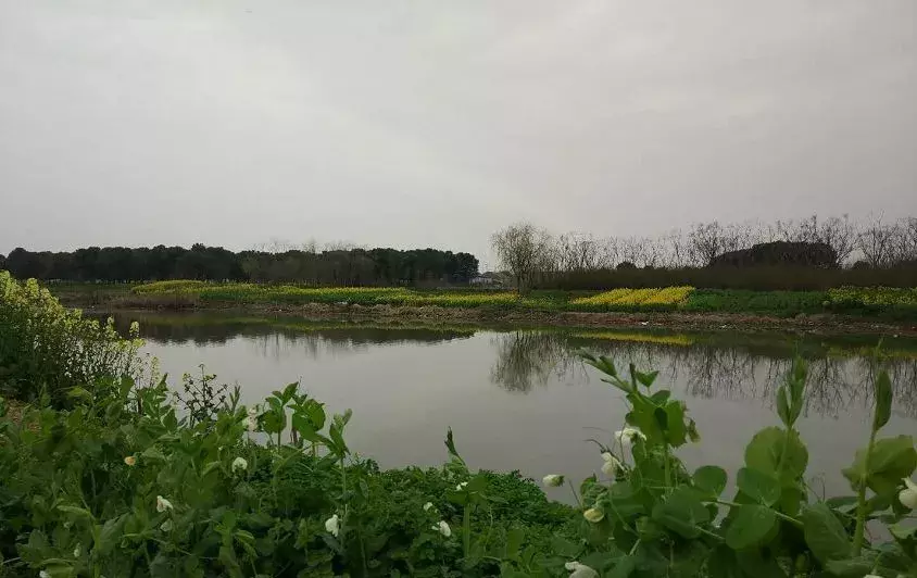农转非需要什么样的流程？集体建设用地如何审批？