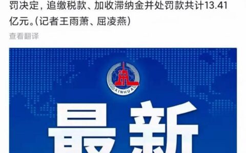 偷逃税是什么意思及偷税漏税举例子