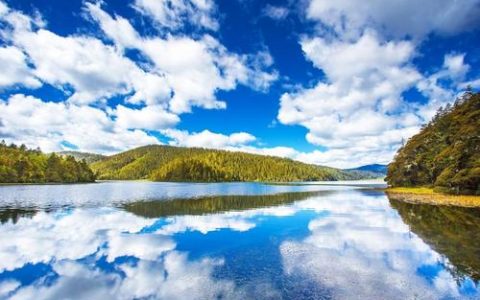 家具销售合同范本及购买家具正规合同范本