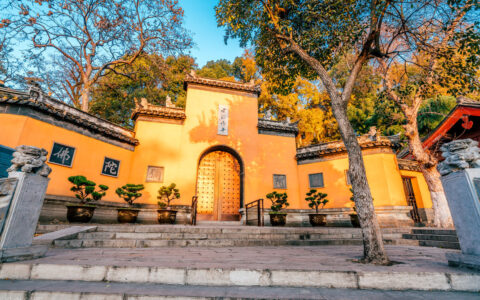 2025年农村统一拆迁是真的吗及农村宅基地拆迁补偿标准