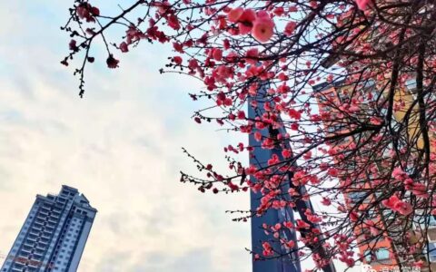 旅游法全文及解读及中华人民共和国旅游法内容