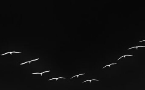 死缓是什么意思及死缓和死刑的区别