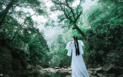 什么是法律意识及法律意识的重要性讲解