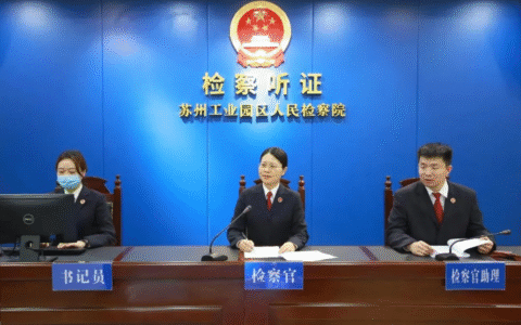 国际经济纠纷案例及经济纠纷起诉状模板