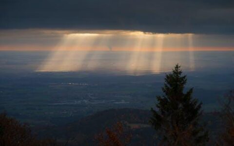 网上逃犯是什么意思及网上逃犯名单查询系统