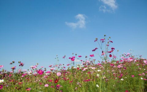 夫妻分居多长时间可以自动离婚及离婚男方不同意处理方法