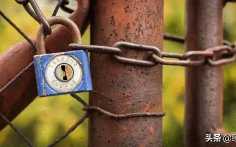 强制执行措施有哪些及申请强制执行步骤