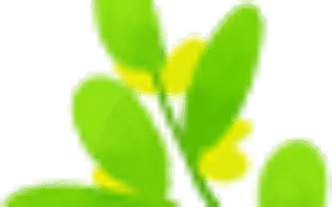 福建交通网违章怎么查询及福建交警网违章查询手机平台