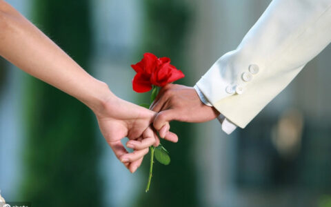 质押和抵押的区别是什么(抵押和质押的区别举例说明)