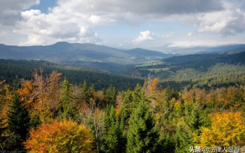 二审答辩状格式范文及被上诉人二审答辩技巧