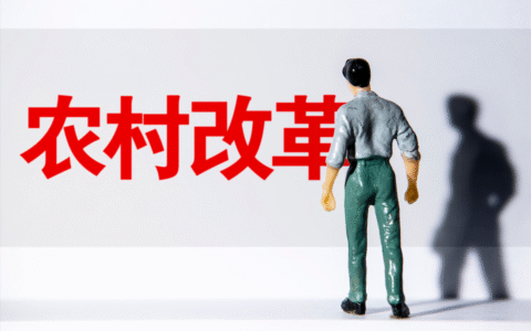 宅基地改革试点什么意思及国家对农村宅基地最新政策