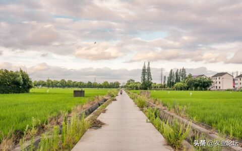 拆迁补偿标准明细及2025年国家拆迁补偿标准明细