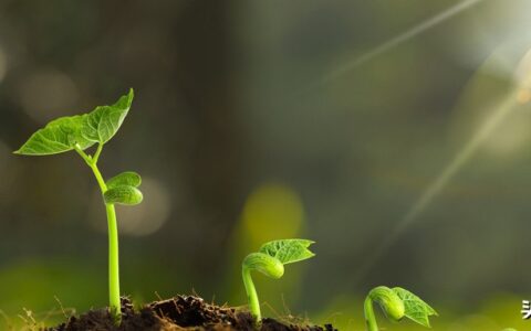 民事纠纷调解流程及解决民事纠纷的方式