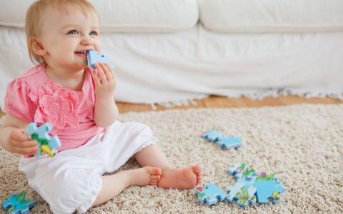 分户申请书怎么写范文及个人立户申请书模板