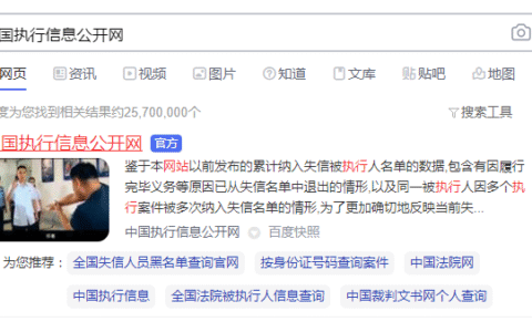 法院执行网被执行人查询系统及被起诉案件查询方法