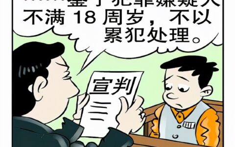 特殊累犯的构成要件及刑法关于特殊累犯的规定