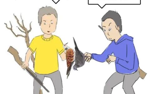 猎枪打鸟犯法吗及打鸟判刑标准了解