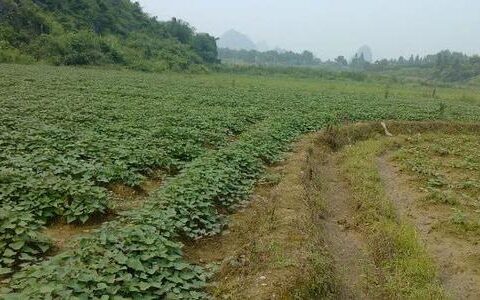 新土地法补偿标准及最新土地征用赔偿标准