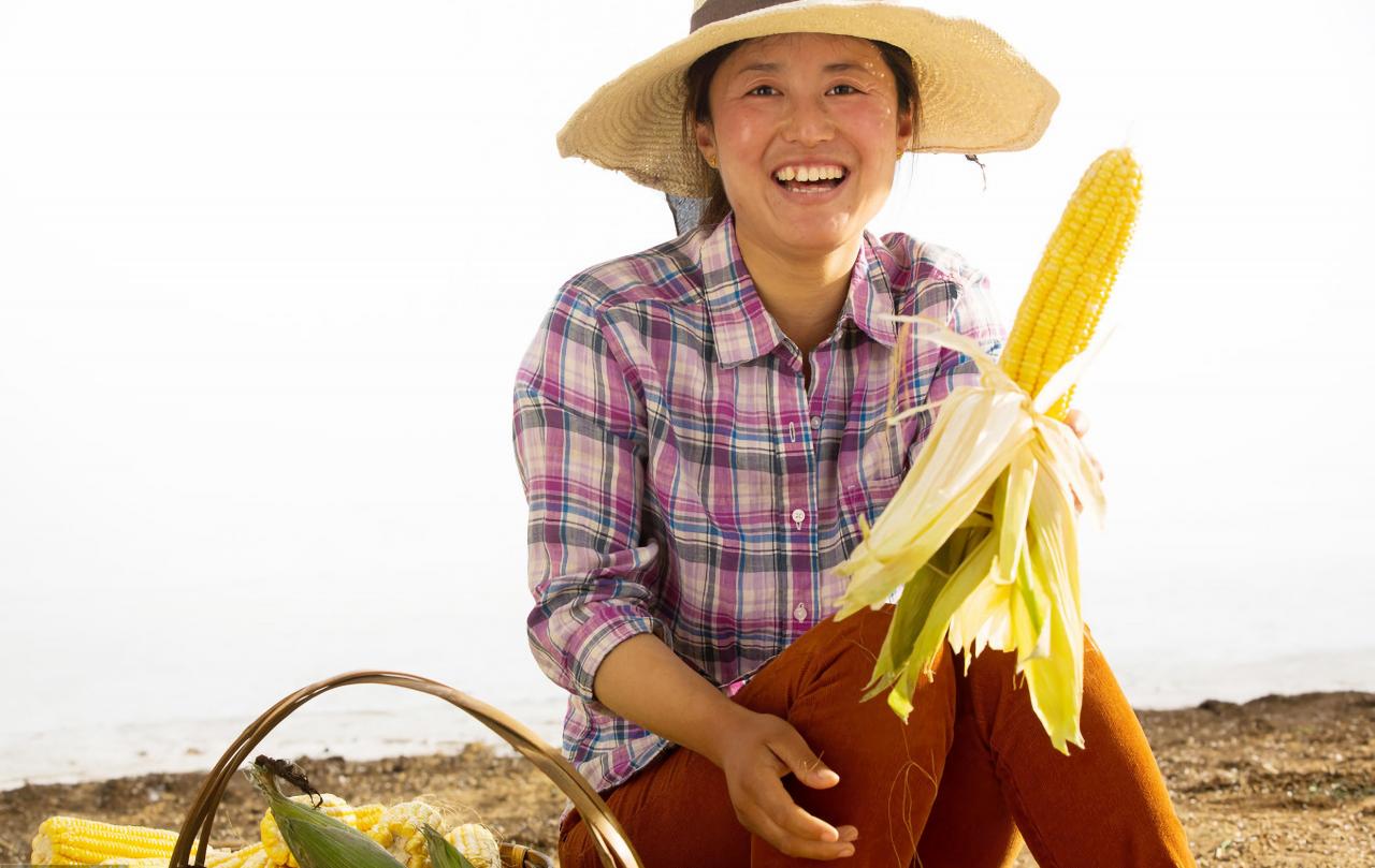 什么是过渡性养老金？哪些人可以领取？可以终身领取吗？