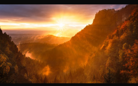 履约能力怎么形容及企业履约能力评价