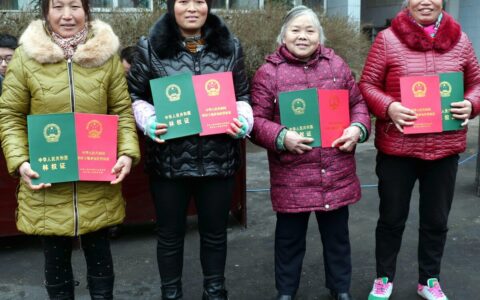 林权证在哪里办理及农民申请补办林权证的流程