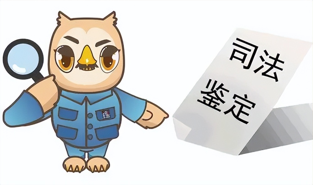 干货，收藏司法鉴定模板，不请律师直接用