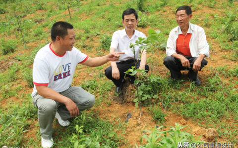 技术支持协议模板及技术支持合作协议合同范本