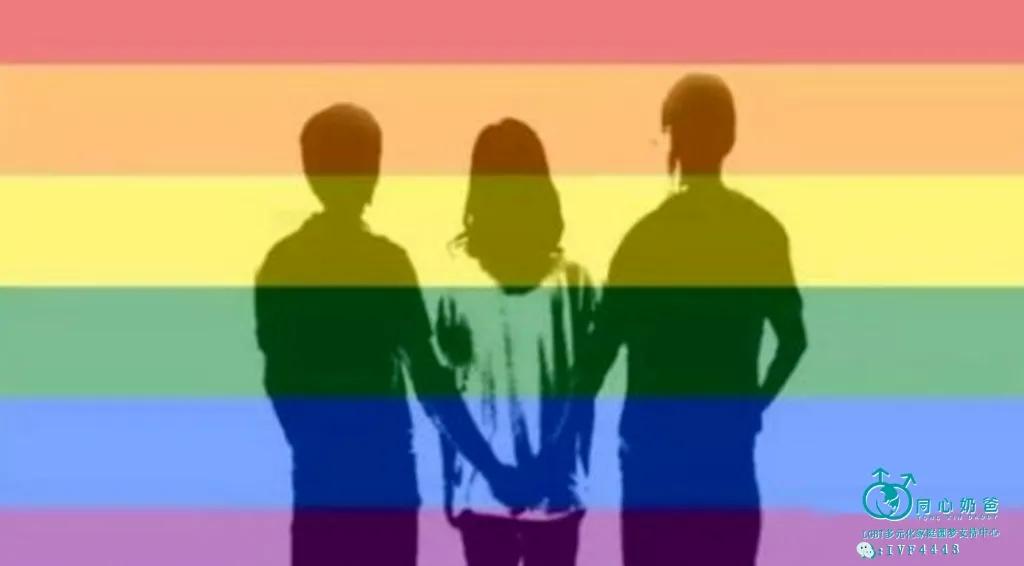 同志和拉拉形式婚姻有哪些法律风险，财产关系，离婚程序？