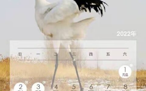 元旦休息几天法定及2024元旦放假时间法定