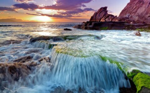 证人证言格式及证人证言的采信规则