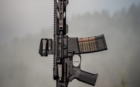 贩卖枪支属于什么犯罪及走私武器的司法解释