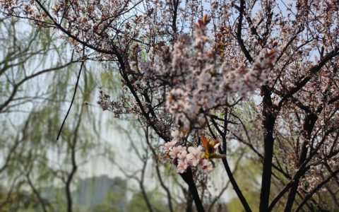 证据种类分类的意义及民事诉讼证据目录模板