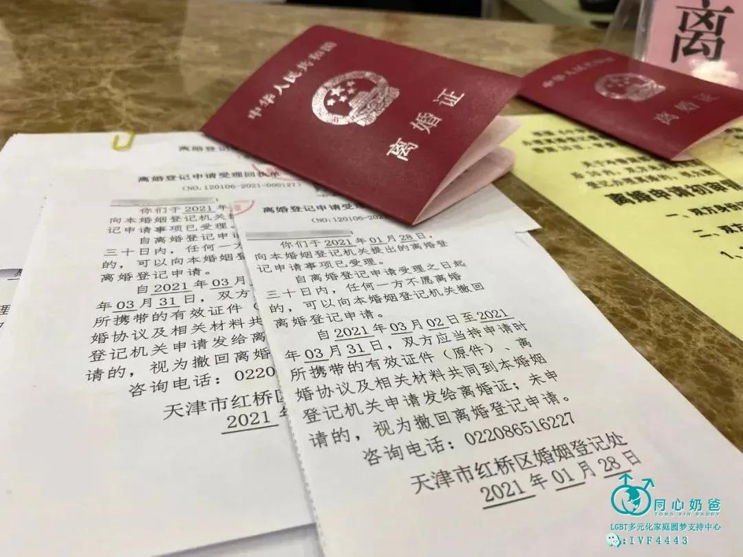 同志和拉拉形式婚姻有哪些法律风险，财产关系，离婚程序？