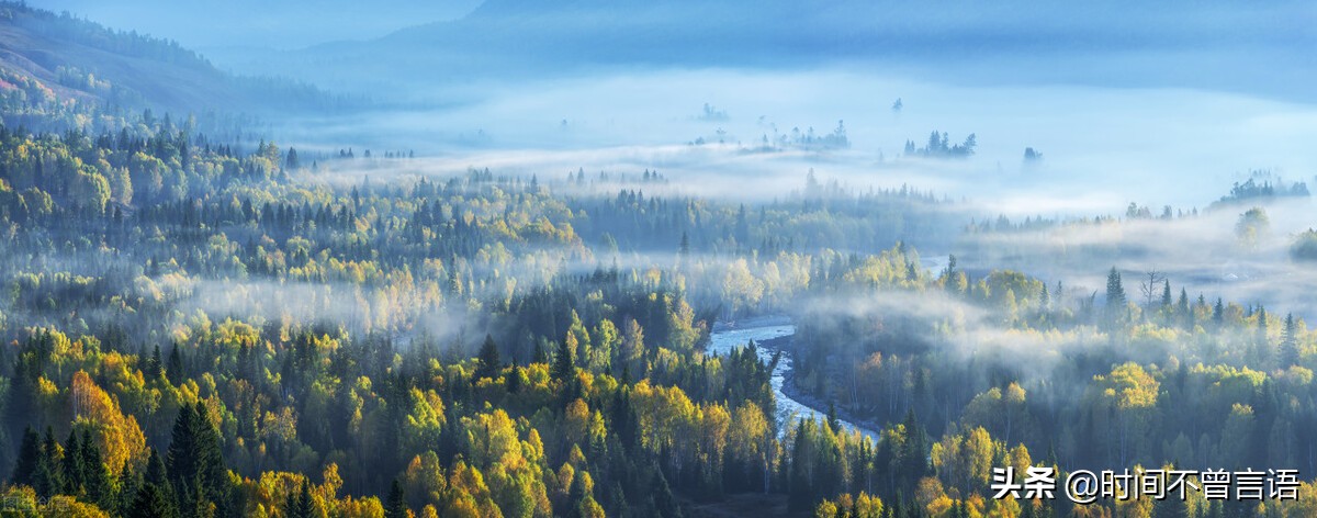 司法考试笔记-犯罪目的与动机