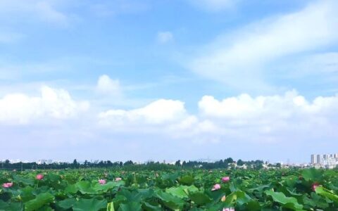 建设工程施工合同法律法规及建设工程合同七种分类