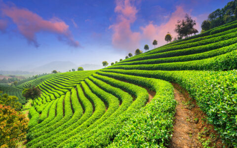 征地补偿标准是多少及2025年土地征收赔偿标准明细