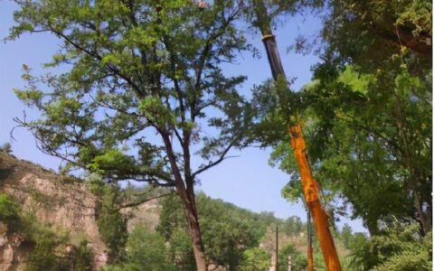 电力法实施细则及国家电力设施保护条例实施细则