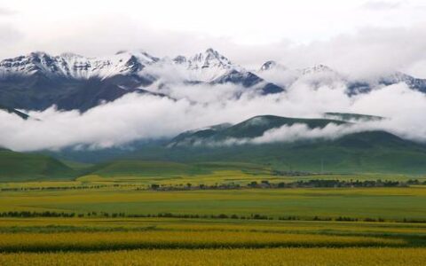 商铺租赁合同标准版及个人商铺租赁合同范本免费