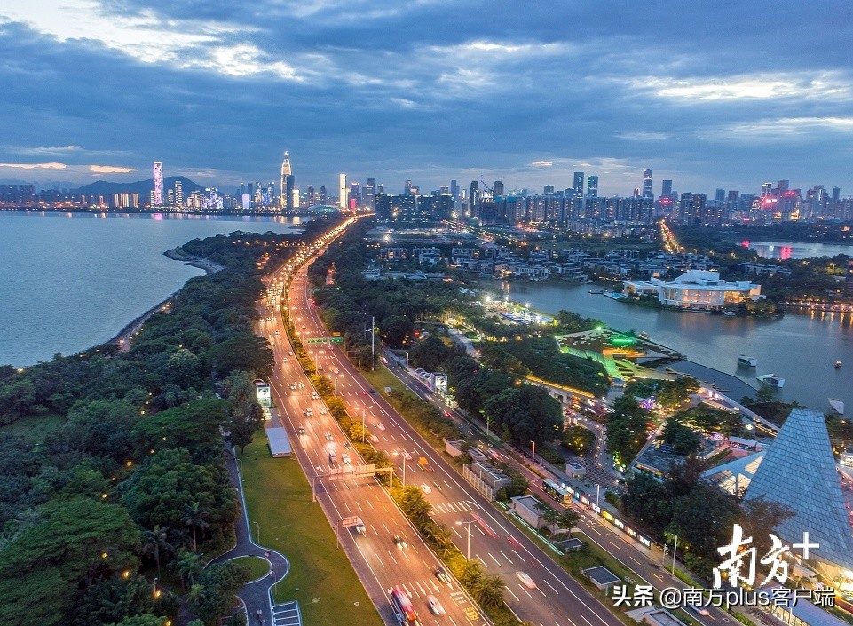 深圳新交通处罚条例11月1日实施，看看罚款500元以上的都有啥