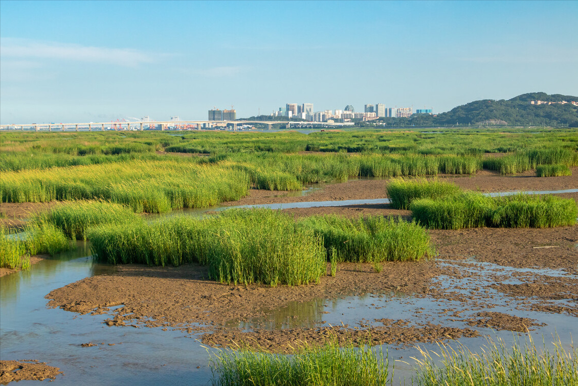 征收征用海域滩涂时应如何补偿？看了本文你就知道了
