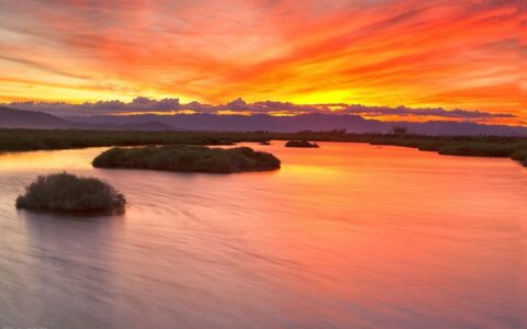 电脑销售合同范本及销售合同简洁模板