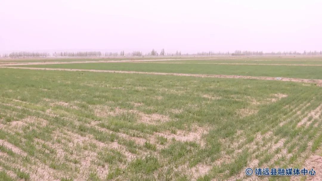 县人大常委会深入乡镇检查《农业法》贯彻执行情况