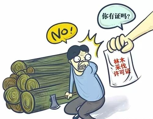 滥伐自己的林木，林木如何处理？