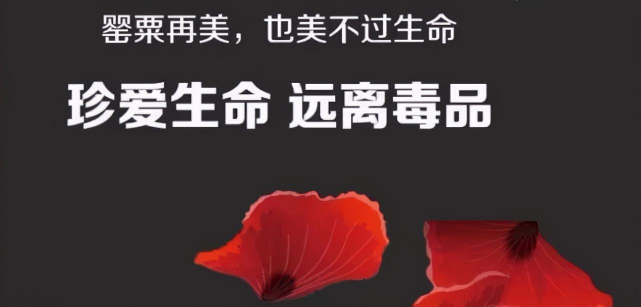 罂粟，种植一棵也违法