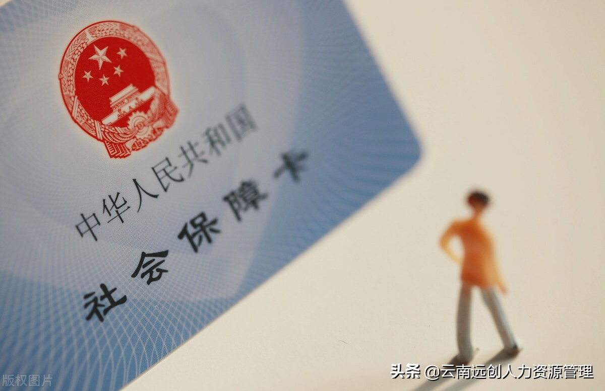 新型农村养老保险缴费，退休养老政策