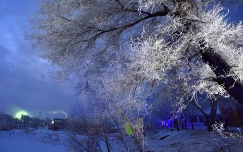 刑法包庇罪的量刑及包庇刑事案件适用法律