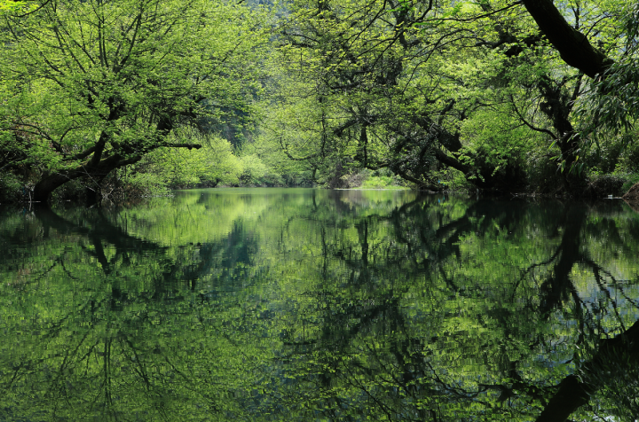 钱江源地役权改革：小小权利“让渡”撬动252平方公里生态保护